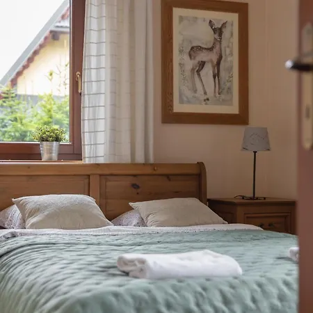 Apartament Domino -